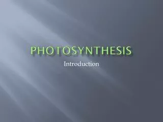 PHOTOSYNTHESIS