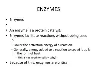 ENZYMES