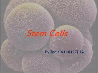 Stem Cells