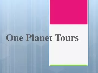One Planet Tours