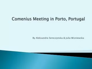 Comenius Meeting in Porto, Portugal
