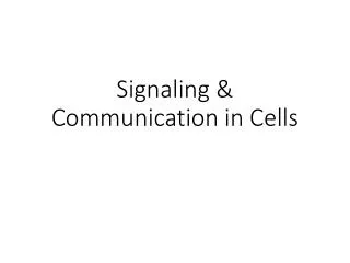 Signaling &amp; Communication in Cells