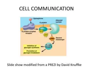 CELL COMMUNICATION