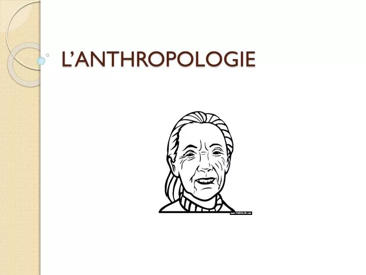 l anthropologie