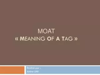 moat m eaning o f a t ag