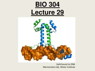 BIO 304 Lecture 29
