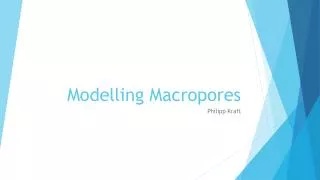Modelling Macropores