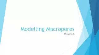 modelling macropores