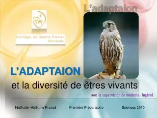 l adaptaion