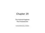 Chapter 29 - slide 1