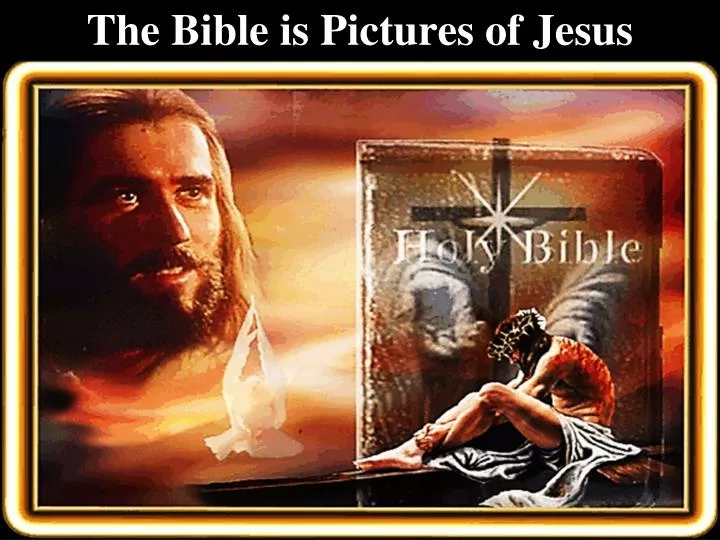 the bible is pictures of jesus