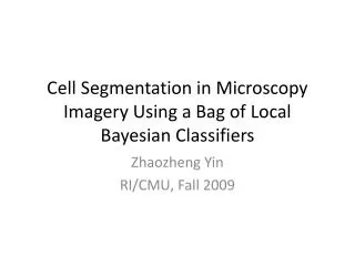 Cell Segmentation in Microscopy Imagery Using a Bag of Local Bayesian Classifiers
