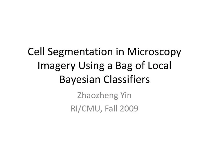 cell segmentation in microscopy imagery using a bag of local bayesian classifiers