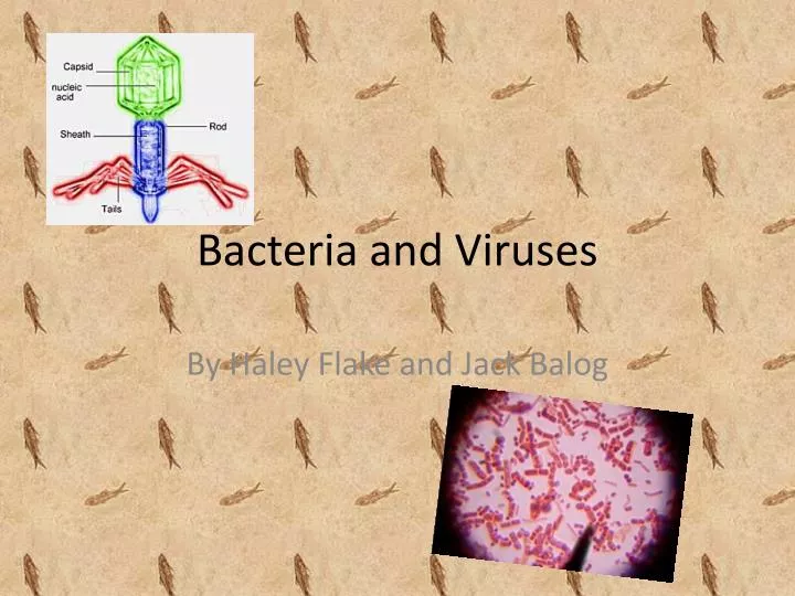 Ppt Bacteria And Viruses Powerpoint Presentation Free Download Id2645965 7373