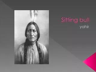 Sitting bull