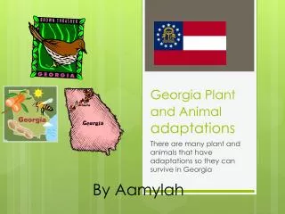 Georgia Plant and Animal adaptations
