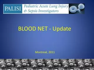 BLOOD NET - Update