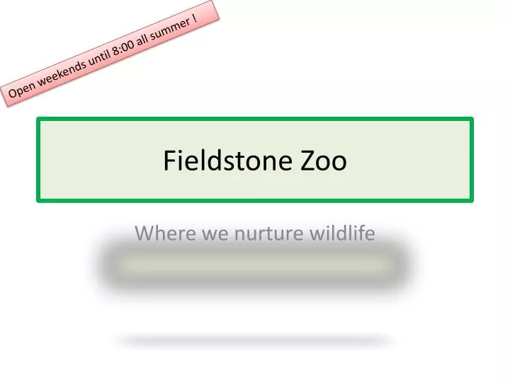 fieldstone zoo