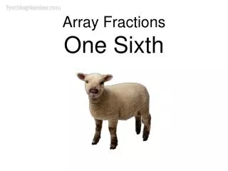 Array Fractions One Sixth