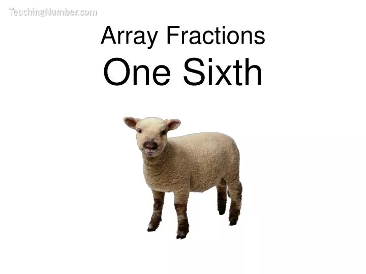 array fractions one sixth