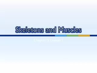 Skeletons and Muscles