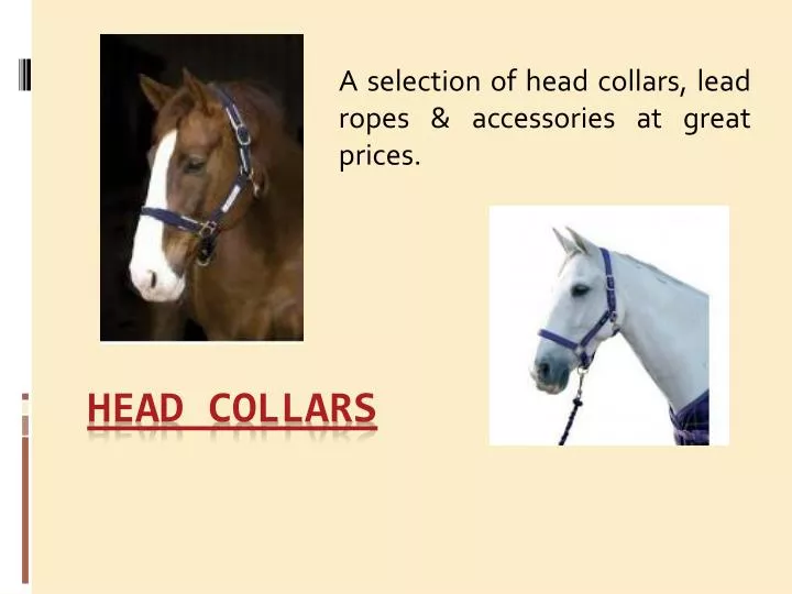 a selection of head collars lead ropes accessories at great prices
