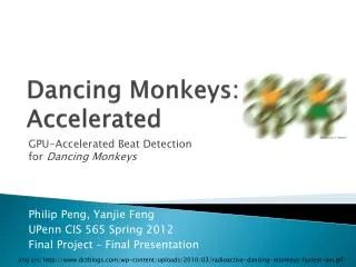 Dancing Monkeys: Accelerated