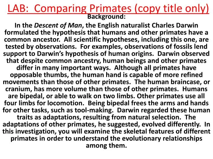 lab comparing primates copy title only