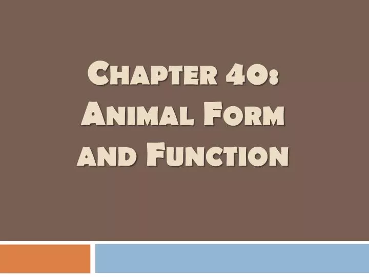 chapter 40 animal form and function