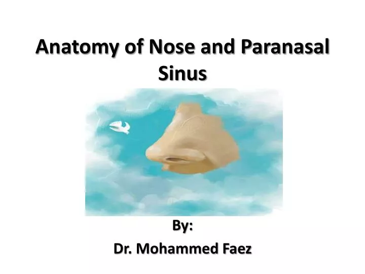 anatomy of nose and paranasal sinus