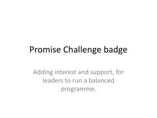 Promise Challenge badge