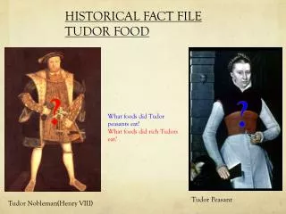 HISTORICAL FACT FILE TUDOR FOOD