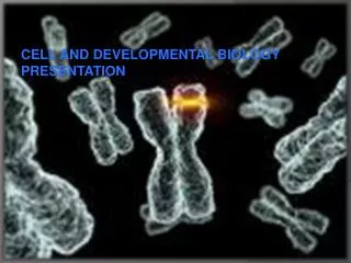 CELL AND DEVELOPMENTAL BIOLOGY PRESENTATION