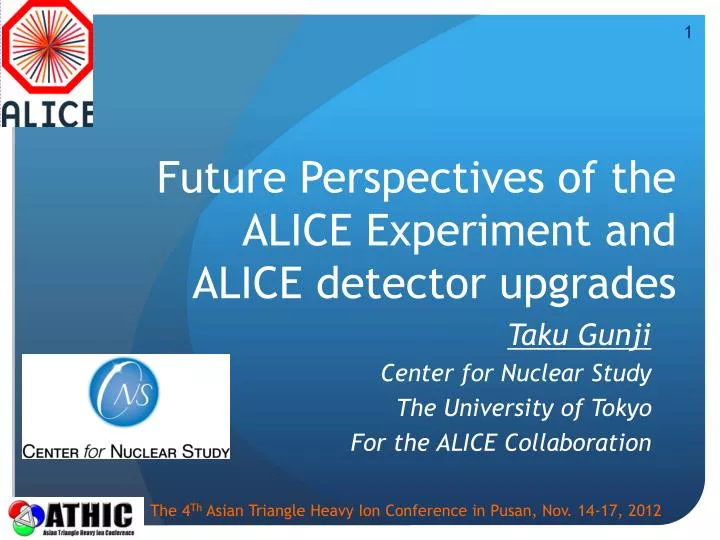 future perspectives of the alice experiment and alice detector upgrades