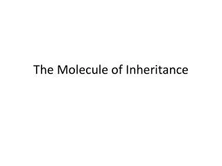 The Molecule of Inheritance