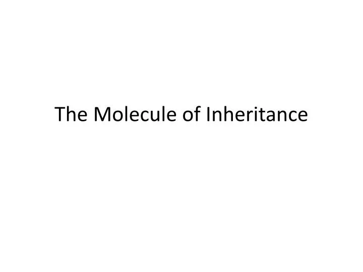 the molecule of inheritance