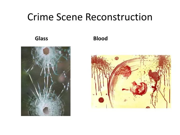 crime scene reconstruction