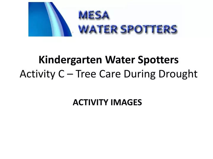 kindergarten water spotters activity c tree care during drought