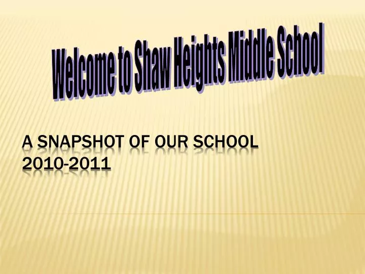 a snapshot of our school 2010 2011