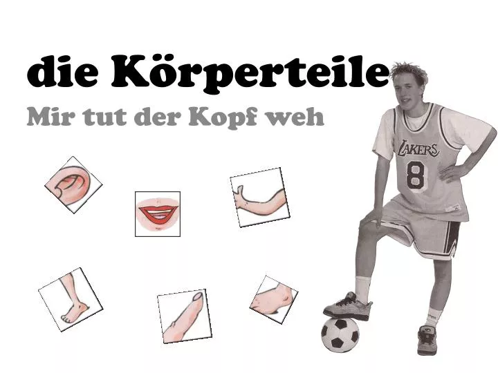 die k rperteile