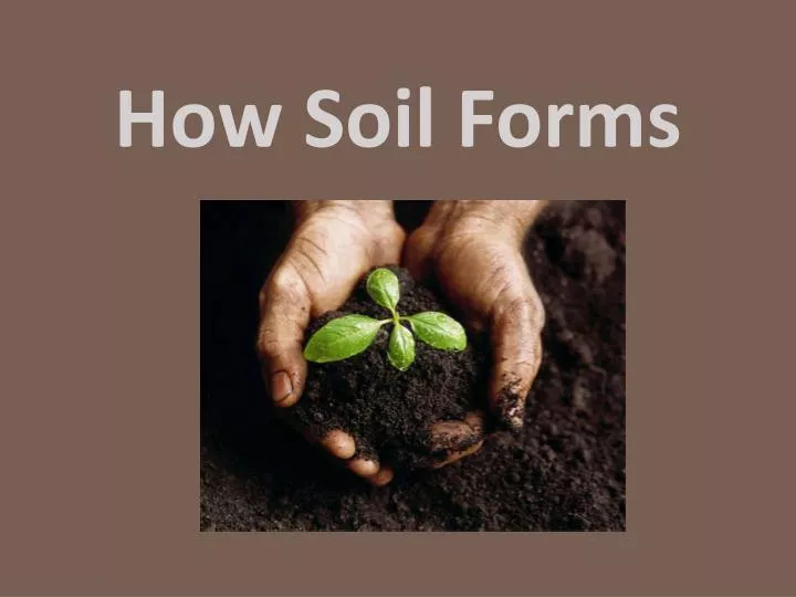 how soil forms