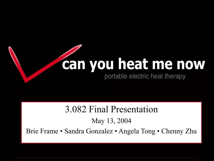 3 082 final presentation may 13 2004 brie frame sandra gonzalez angela tong chenny zhu