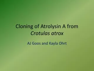 Cloning of Atrolysin A from Crotulas atrox