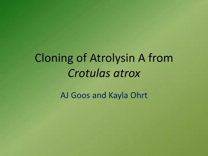 cloning of atrolysin a from crotulas atrox