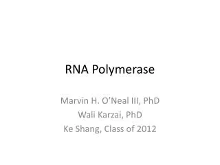 RNA Polymerase