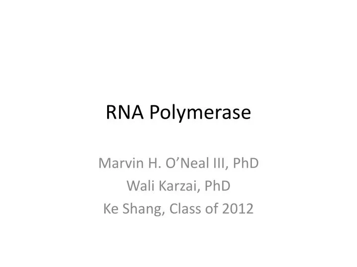 rna polymerase