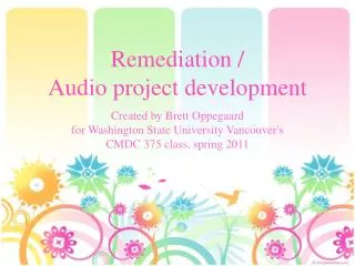 Remediation / Audio project development