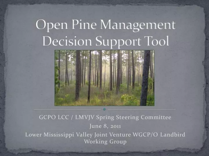 open pine management decision support tool