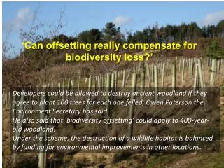 ‘Can offsetting really compensate for biodiversity loss?’