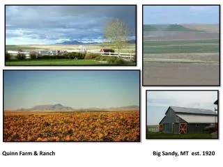 Quinn Farm &amp; Ranch 				 Big Sandy, MT est. 1920